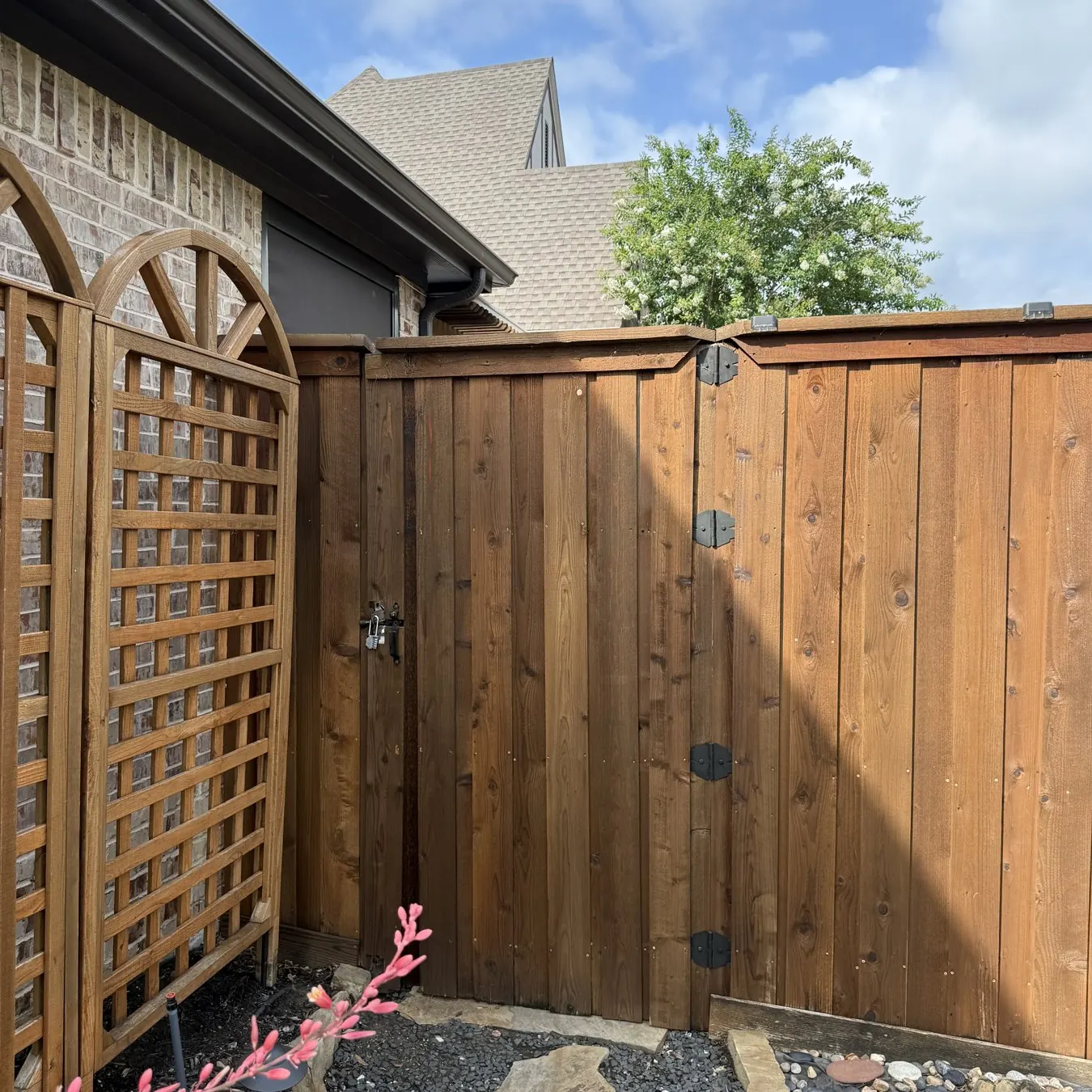 Lattice top cedar gate on a side yard