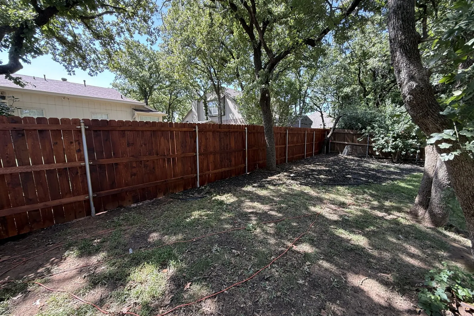 Freshly stained fence in a shaded backyard
