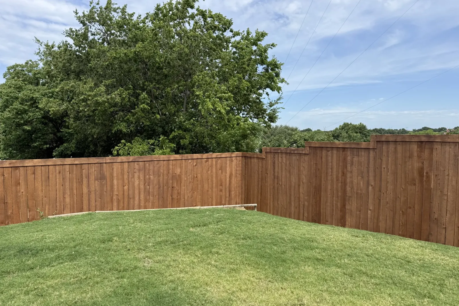 New cedar privacy fence with fresh stain in a North Dallas backyard