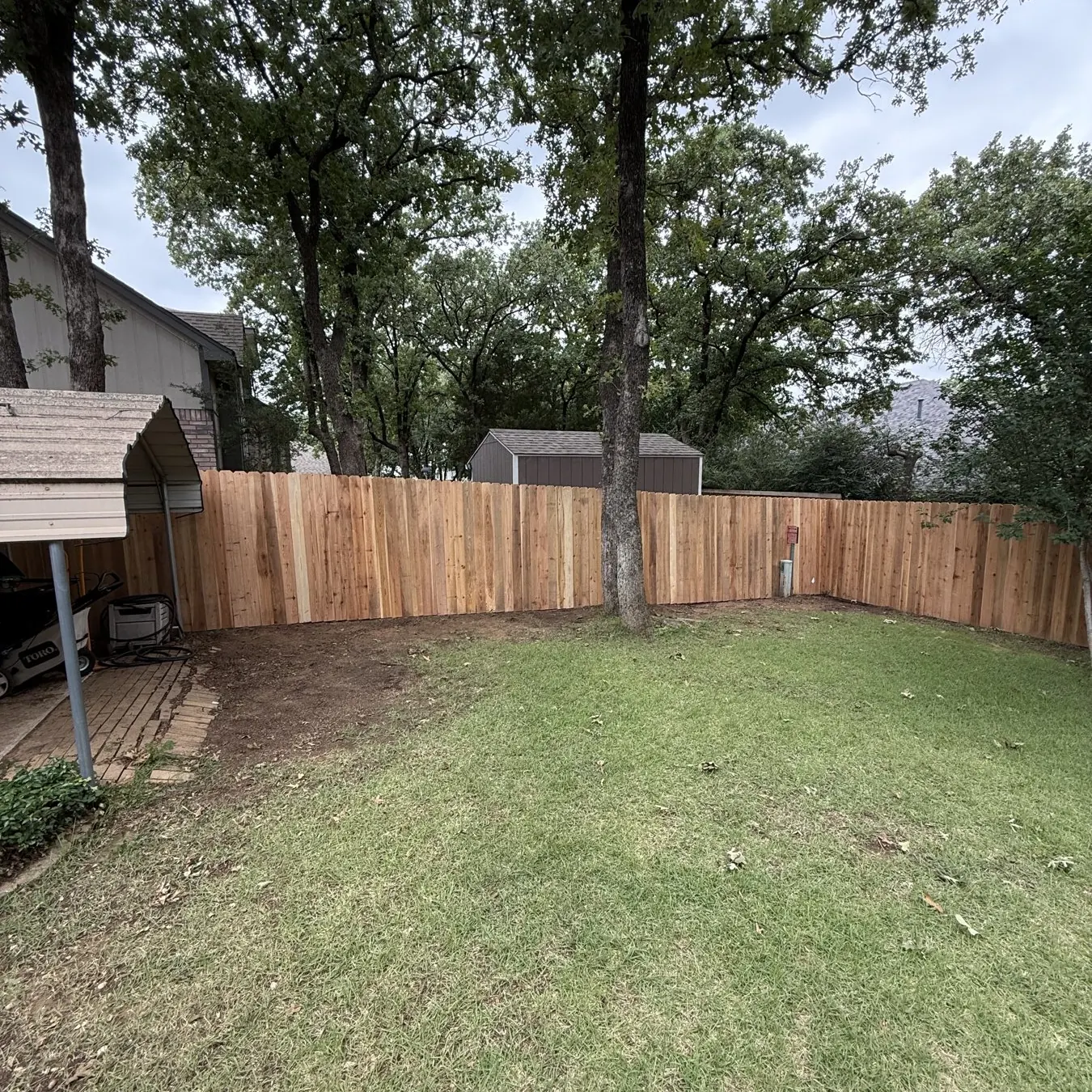 Green backyard lawn with a new cedar fence