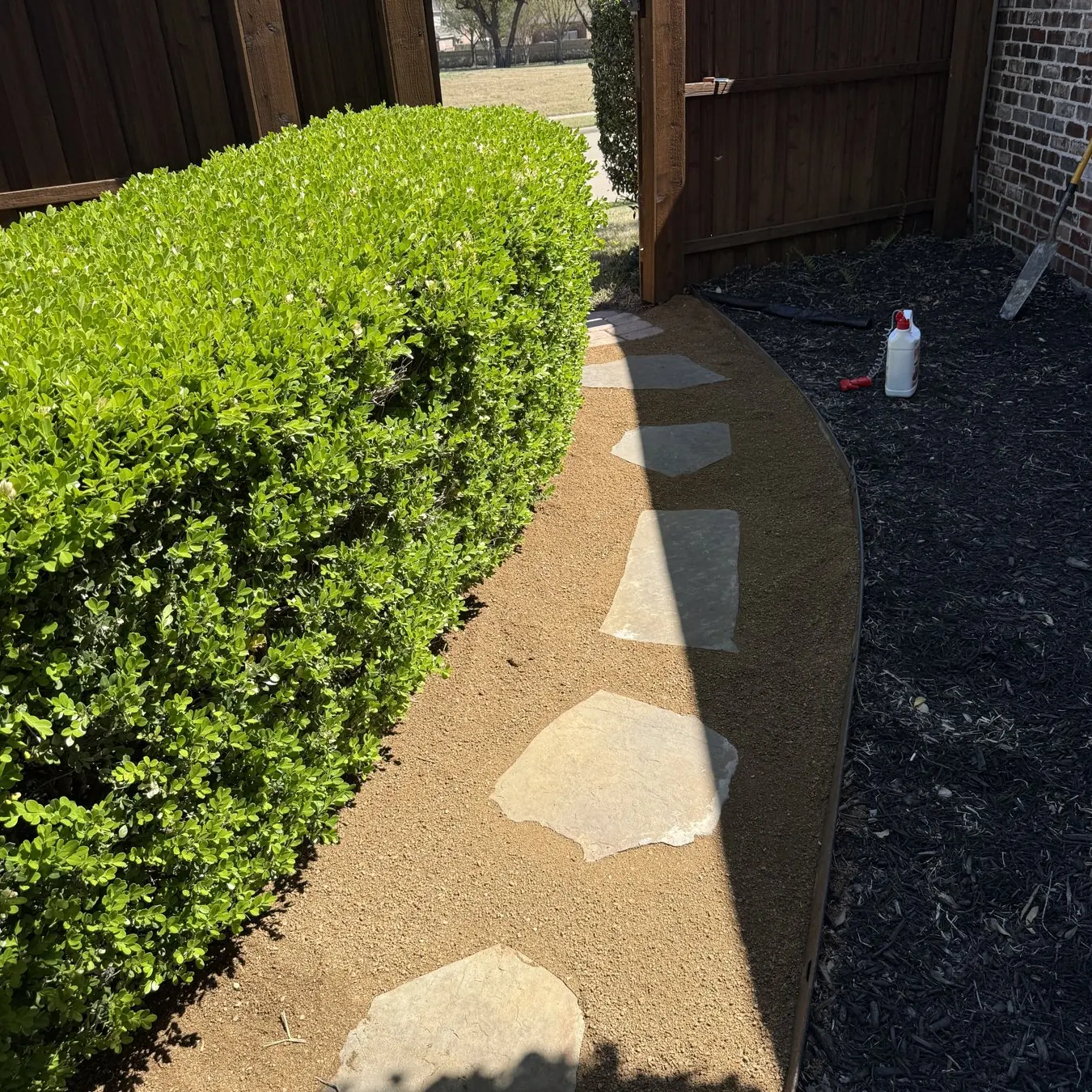 Flagstone walkway beside a hedge